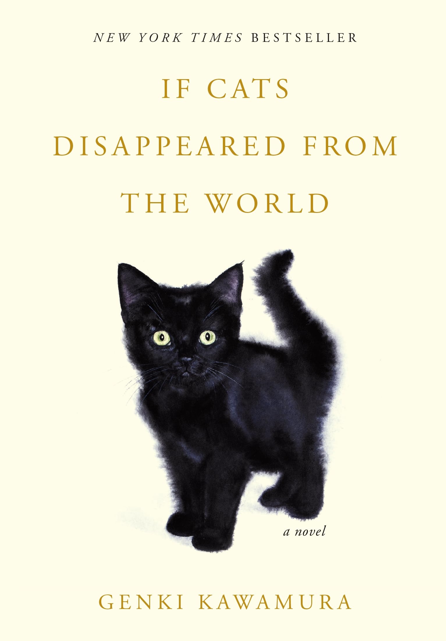 If Cats Disappeared from the World book cover